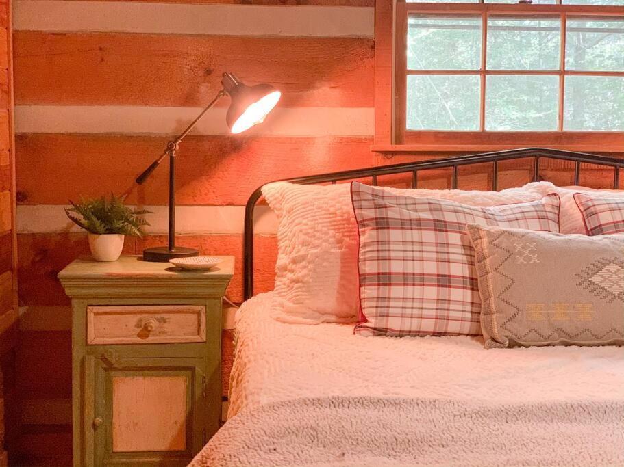 Villa Hot Tub, Porch Swing Bed, Fire Pit, Aska Adventure Blue Ridge Exterior foto